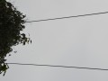 Tn DSC 3956